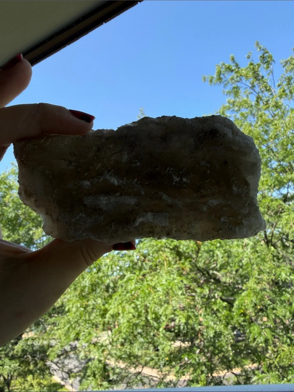 Raw •Selenite• Gypsum Crystal Mineral Specimen Natural Formation
